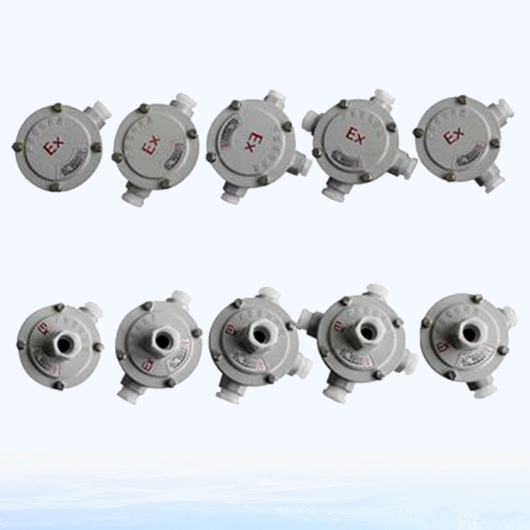 鑄鋼防爆接線盒